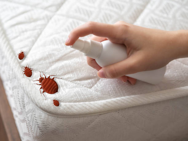 Best Indoor Pest Control  in Magnolia, AR